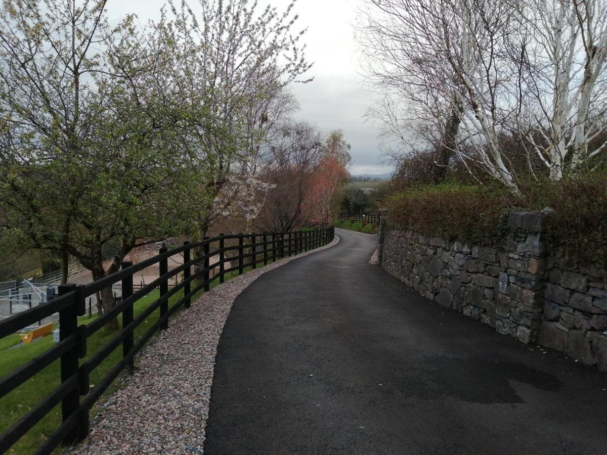 Villa Rosswood House Donegal Town Exterior foto